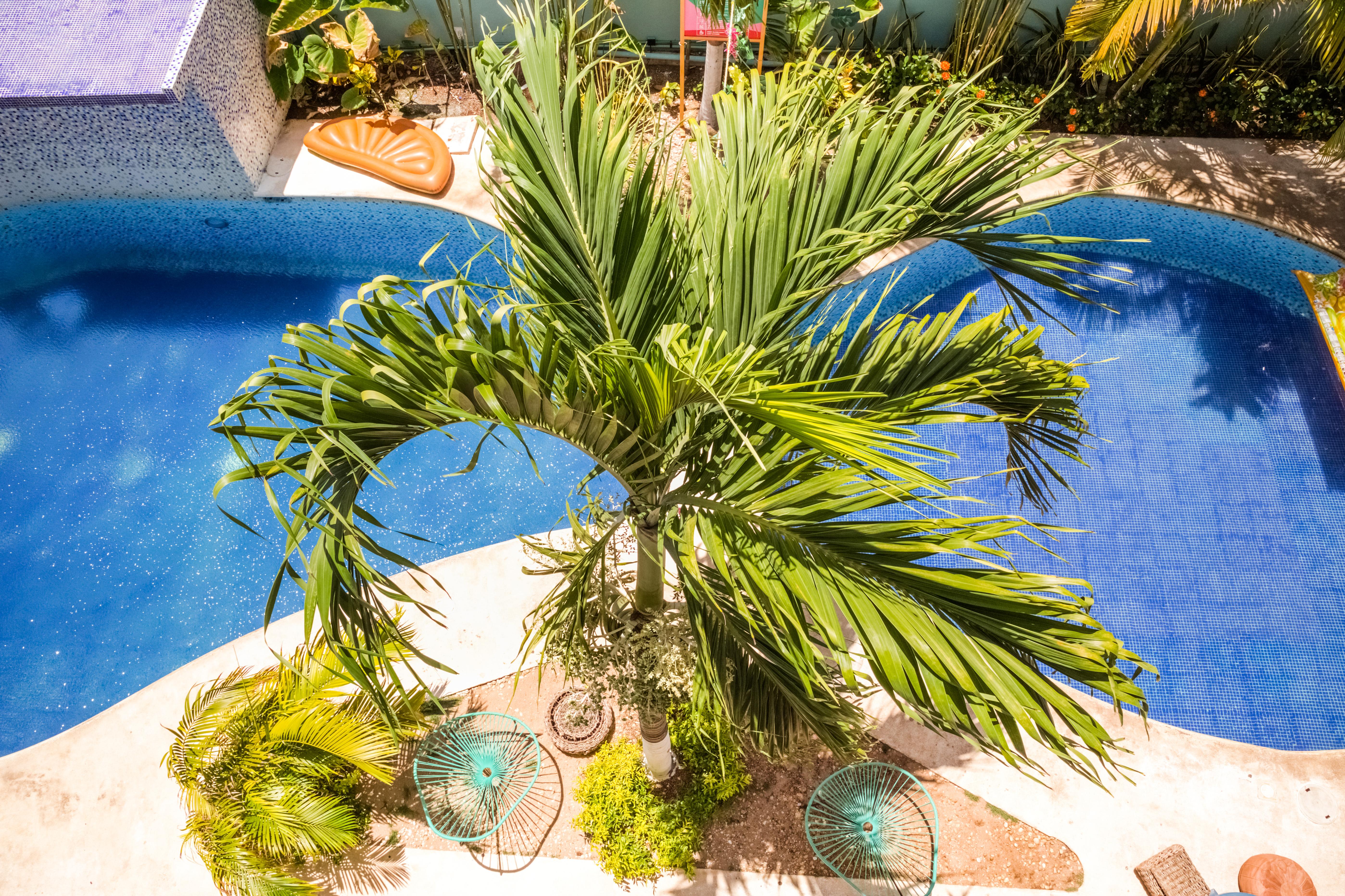 Hotel Selina Playa Del Carmen Zewnętrze zdjęcie