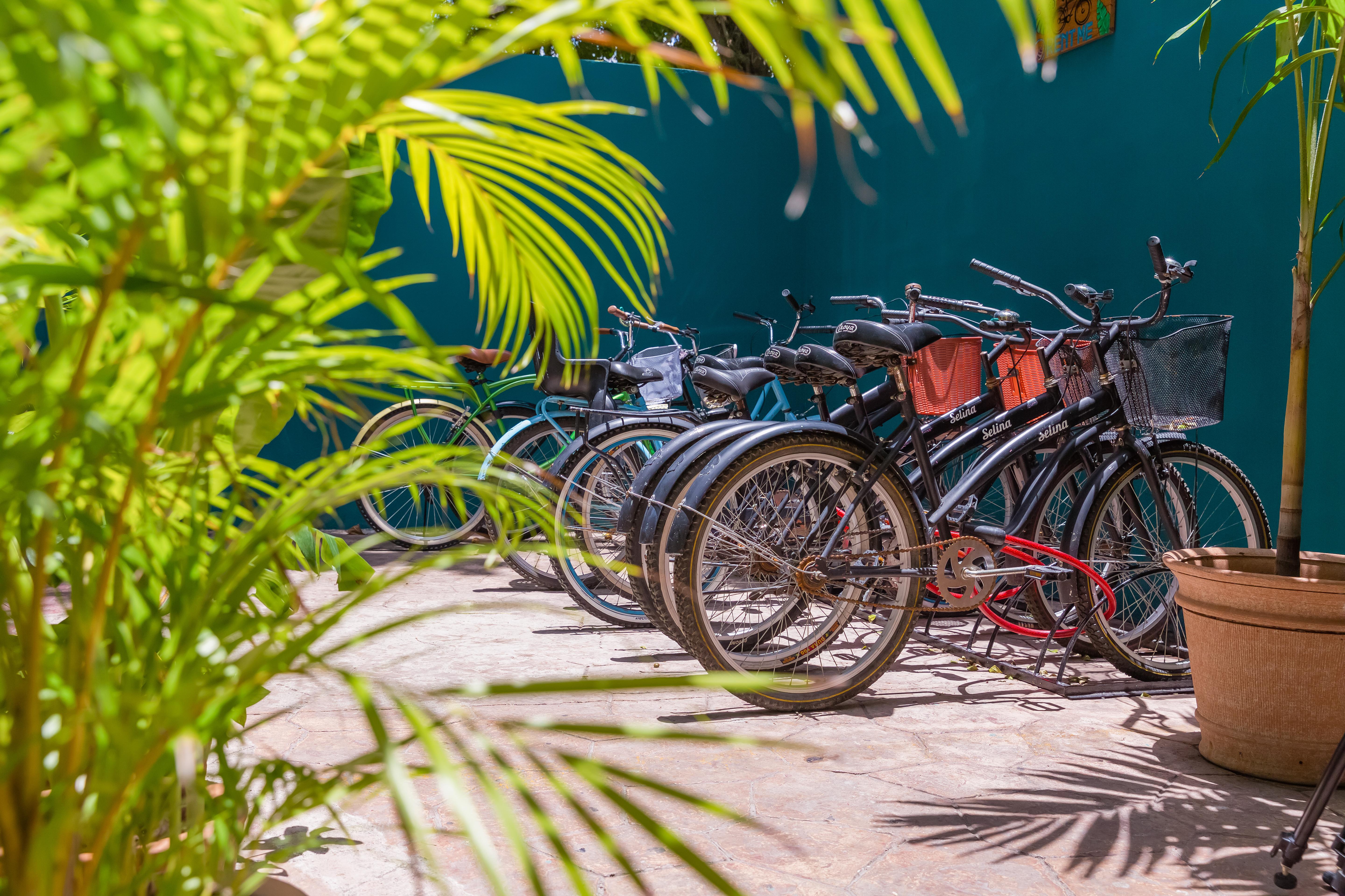 Hotel Selina Playa Del Carmen Zewnętrze zdjęcie